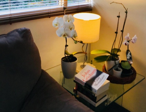 The Mews Motel image 20